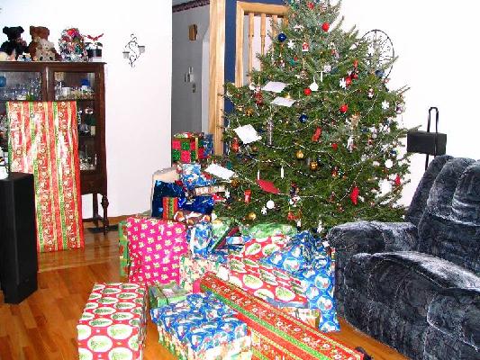 New Brunswick 2004 069.jpg